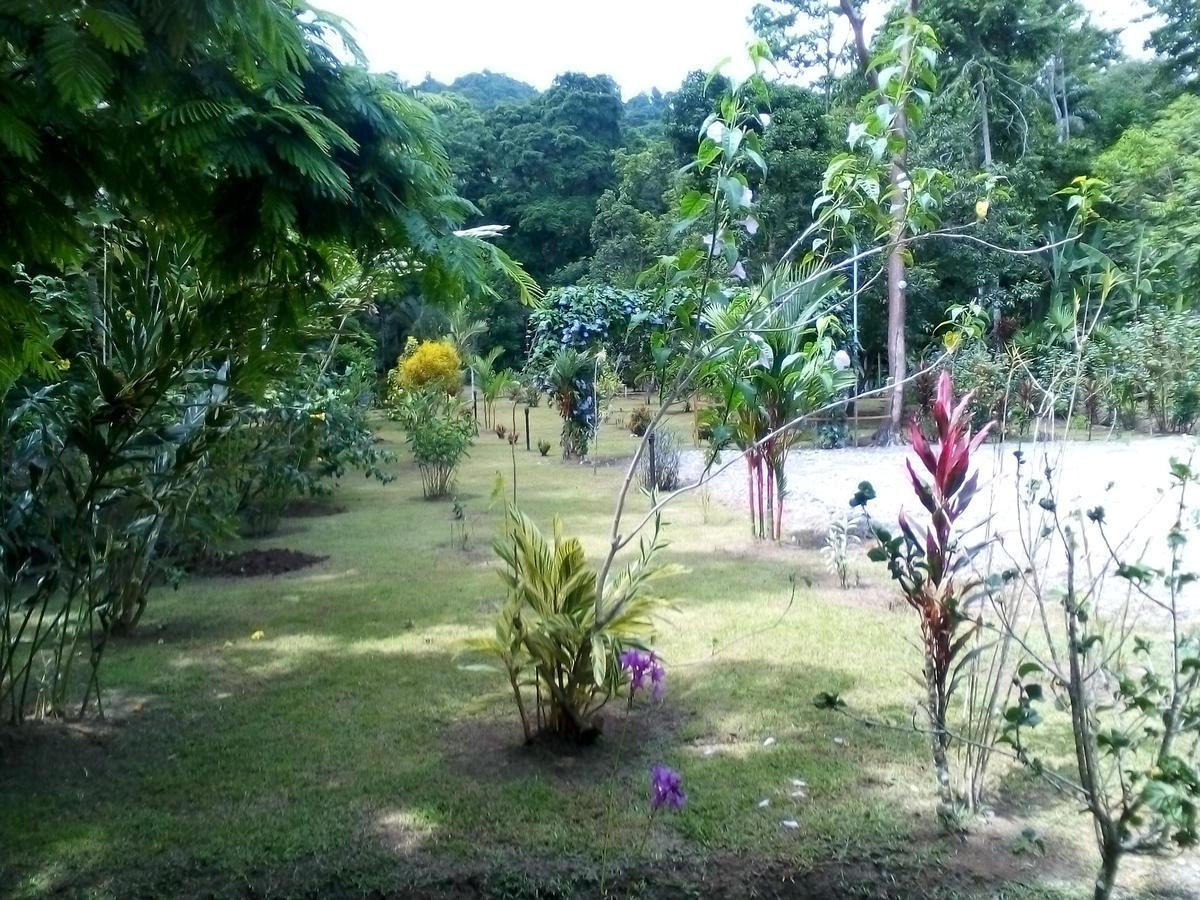 Puerto Vargas Lodge Кауита Экстерьер фото